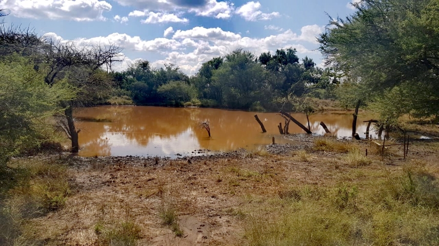 Commercial Property for Sale in Zeerust North West